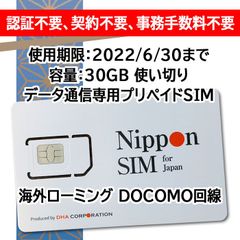 【使用期間22/12/31】国内用 30GB プリペイド データ SIMカード