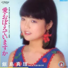 2025年最新】飯島真理 レコードの人気アイテム - メルカリ