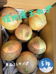 玉ねぎ５㎏（信州産　長野県産）