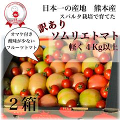 受賞歴３回訳ありソムリエトマト箱込み4.5〜6.5kg（16玉～32玉)×２箱　おまけ②