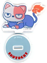 2025年最新】ショートキャット 轟の人気アイテム - メルカリ