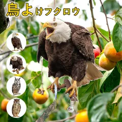 猛禽類、ハト、水鳥マニュアル 楽天市場】玩具 鷹 タカ 鷲 ワシ 動く 鳴く 猛禽類 おもちゃ 鳥
