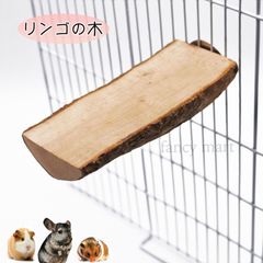 小動物 ステップ ステージ 木 階段 遊び場 リンゴの木 天然木 大きめ 半円 かまぼこ型 ハムスター チンチラ ラット デグー