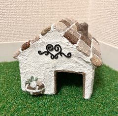 爬虫類　シェルター　ハート