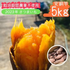 【箱込み5kg】倉敷安納芋 新物 さつまいも【無農薬サツマイモ】