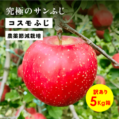 究極のサンふじ！11月収穫「コスモふじ5キロ箱訳あり品」長野県産 安曇野 信州産