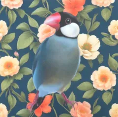 【ゆきちゃん限定】X1333　文鳥　ノーマル　花柄　パネル　No321