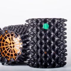 アガベ・チタノタ ”大螯蝦” 台湾株 OC 子株 発根済 - メルカリ