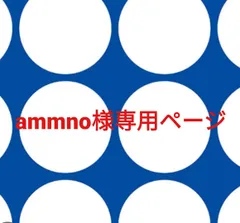 ammno様専用ページです。