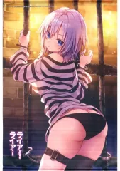 【中古】タペストリー [単品] konomiイラスト B2タペストリー 「ライトノベル ライアー・ライアー 12 ゲーマーズ限定版」 同梱特典のサムネイル