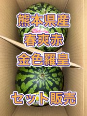 北海道沖縄離島追加送料無し　熊本県産赤肉すいか《春爽赤》黄色すいか《金色羅皇》セット販売
