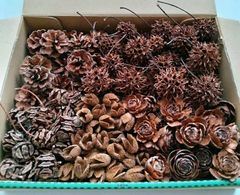 松ぼっくり 木の実 自然 天然 リース ハンドメイド 飾り クリスマス お正月