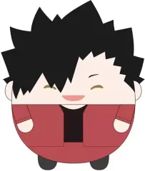 【中古】ぬいぐるみ D黒尾鉄朗 ふわコロりんMsizeSpecial(ぬいぐるみ) 「ハイキュー!!」