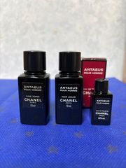 アンテウスミニチュアセット