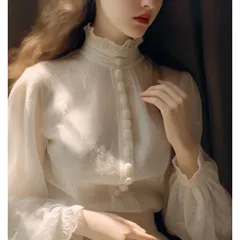 ハイネック 長袖ブラウス レース シフォン 刺繍 韓国 5jC1986