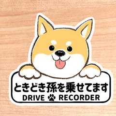 ときどき孫を乗せてます.ドライブレコーダー【茶柴.ボード】マグネットタイプ/シールタイプ/吸盤タイプ//