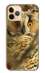 iPhone8 iPhone7 ケース カバー アイフォン8 アイフォン7 スマホケース ハードケース フクロウ 梟 鳥 鳥類 ミミズク シマフクロウ シロフクロウ メンフクロウ 写真 可愛い かわいい カラー08