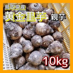 【親芋】黄金里芋 女早生芋 宅急便 10kg さといも サトイモ 山芋