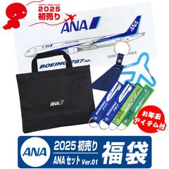 2025年 初売り 福袋 ANA セット Ver.01 お年玉アイテム付き トートバッグ フェイスタオル カラビナ タグ キーホルダー 777 787 GreenJet Prop 全日空 飛行機 巳年 蛇年 エアライン グッズ アイテム 期間限定 プレゼント