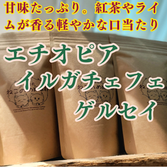 エチオピア イルガチェフェ ゲルセイ 100g×1袋 新鮮厳選 炭火自家焙煎コーヒー豆 可愛い 猫柄 ねこのめ珈琲 ハンドピック済 お土産用にもどうぞ