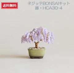 多肉植物用植木鉢 リメイク鉢 miyu鉢 作家さんハンドメイド 2025年最新】miyu 鉢の人気アイテム - メルカリ