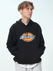 ディッキーズ パーカー ロゴプリント メンズ プルパーカー Dickies フード スウェット プルパーカー 起毛 TW22A ブラック