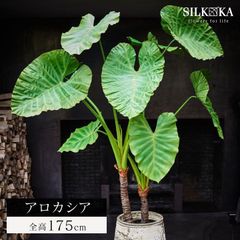 フェイクグリーン 大型 「 アロカシア 175cm シルカ（Silk-ka）」 観葉 植物 おしゃれ リアル 人工観葉植物