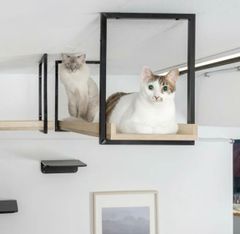 Item thumbnail for item 423abece-28ca-4710-b83f-f009024ed4d7