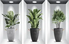 sac taske ウォールステッカー 観葉植物 壁紙シール ウォールシール 鉢植え インテリア ロング 3本( グリーン)