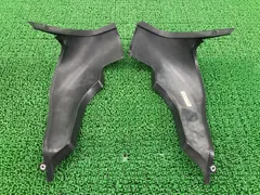 GPZ900R インナーカウル 左右 55028-1066/55028-1067 カワサキ 純正 中古 ZX900A-072*** 55028-1066 55028-1067 インナーパネルのサムネイル