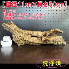 2025年最新】コルク樹皮 キャノンの人気アイテム - メルカリ