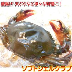ソフトシェルクラブ 1kg 約10尾から14尾入り かに 蟹 ソフト シェル 殻ごと食べられる カニ ・ソフトシェルクラブ・