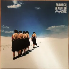 米LP Wye Oak The Louder I Call, The Faster It Runs MRG615 Merge Records /00260