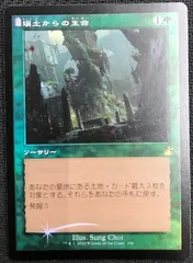 壌土からの生命 初版 日foil 日本語Foil《壌土からの生命/Life from the Loam》RAV初版 - メルカリ