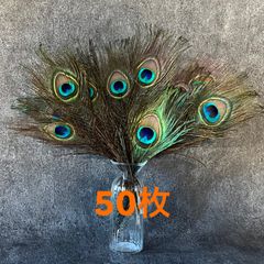 ❤️◾️⭐︎【クジャク 50枚】孔雀の羽根  鳥の羽根　目玉 パーツ　インテリア 素材