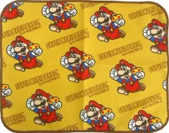 【中古】雑貨 スーパーマリオブラザーズ パッケージ タオルコレクション 35th Special 「一番くじ スーパーマリオブラザーズ いつでもマリオ! コレクション 35th Special」 G賞
