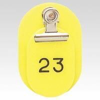 Item thumbnail for item 86f55dfb-36df-4488-a1b7-8afdf526be15