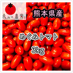 ＊熊本県産ミニトマト＊めぐみトマト　3kg