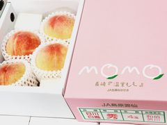 長崎産【日川白鳳】新物ハウス物桃　赤秀品　3~5玉入