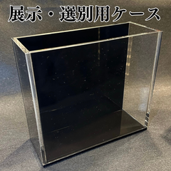 【五藤めだか】展示販売AB品(黒) メダカ用 ケース 撮影 横見