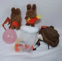 本物のミッフィー 大麦スキー