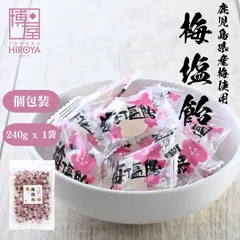 博屋 梅塩飴 240g x 1袋 送料無料 塩分補給 熱中対策 塩飴 常温保存 チャック袋入 梅肉エキス 酸っぱいのサムネイル
