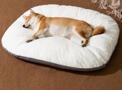 柔らかい 犬 ベッド 洗える 取り外し可能 猫用 ペットベッド ふわふわ