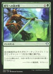 MTG 幸運を祈る者/Wellwisher 日本語版 旧枠 エルフ ライフ回復 - メルカリ