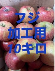 青森県産りんご  フジ加工用10キロ