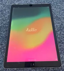 美品 iPad Pro 12.9インチ 第二世代 512GB Wi-Fi+cellular シルバー