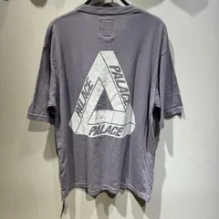 THE NORTH FACE PURPLE LABEL × PALACE 21ss H/S Logo Tee 