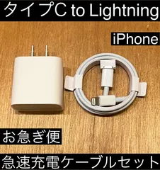 白 タイプC to ライトニング 充電ケーブルセット 急速充電 1m 2.4a typec Lightning iPhone お急ぎ便 iPad AirPods TYPE C type C
