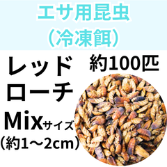 【冷凍餌】 冷凍レッドローチ　Mixサイズ　約100匹入り　　爬虫類　両生類　エサ　餌　魚類　哺乳類　レオパードゲッコー　フトアゴヒゲトカゲ　カエル　蛙　トカゲ　ヤモリ　イモリ