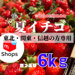 ✨大好評✨青森県産　夏イチゴ　小粒規格外　6kg
